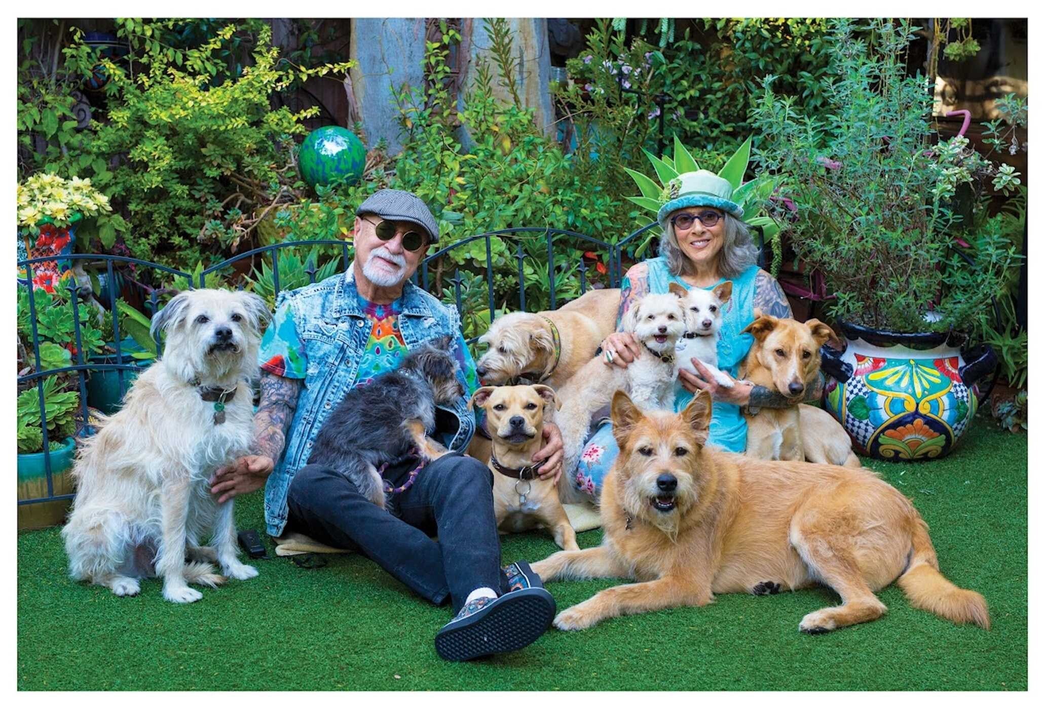 Advanced Pets - Image 4