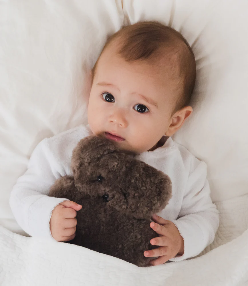 Bear Baby Chocolate - Image 2