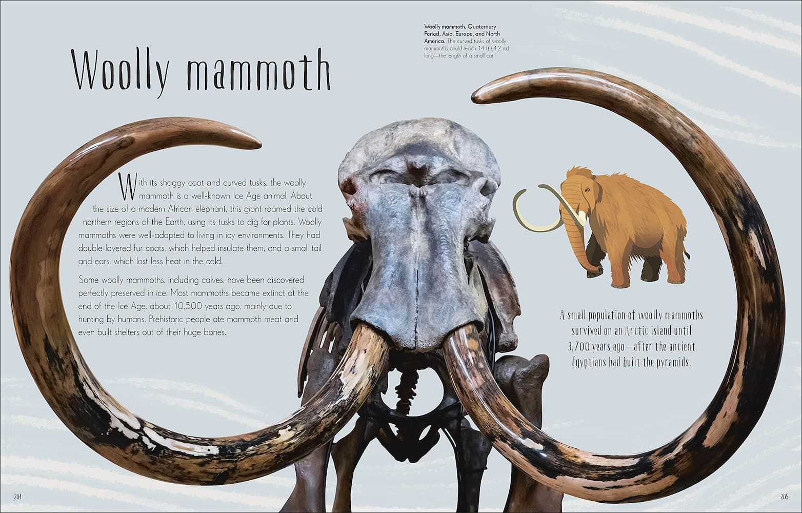 Dinosaurs & Other Prehistoric Life - Image 2