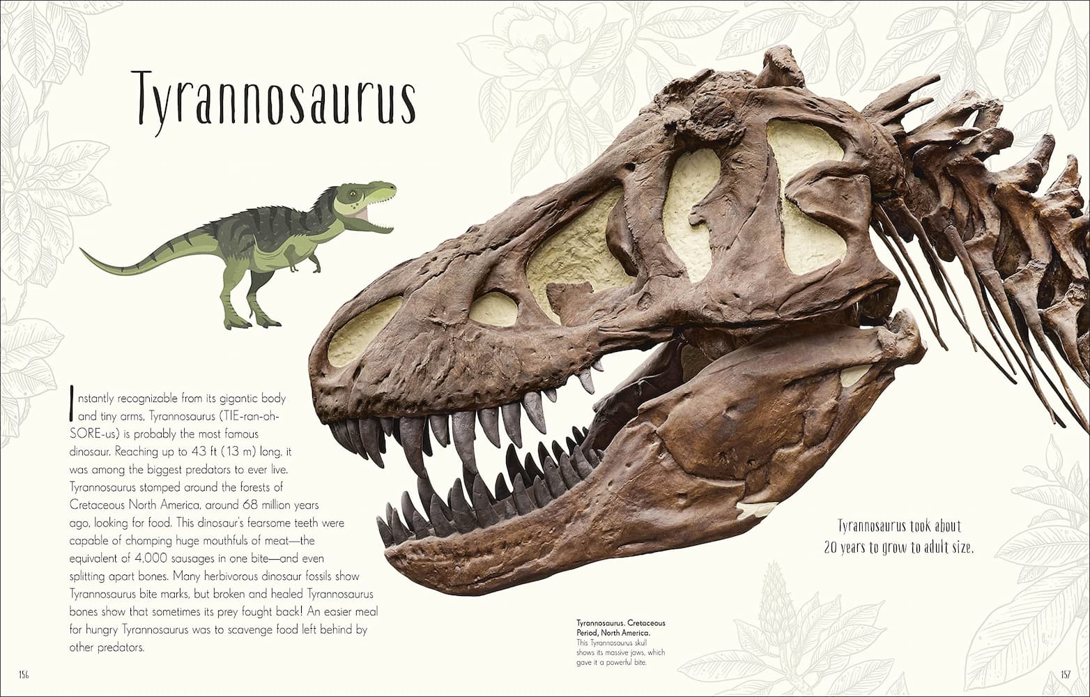 Dinosaurs & Other Prehistoric Life - Image 3