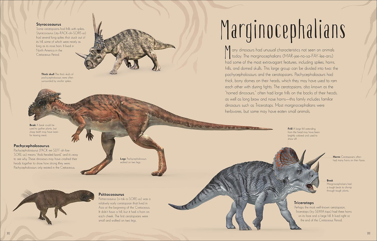 Dinosaurs & Other Prehistoric Life - Image 4