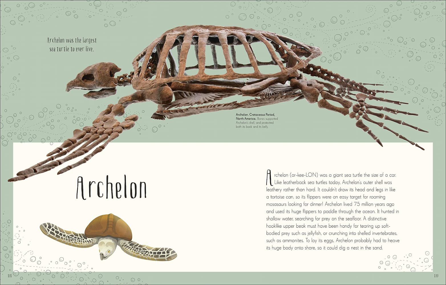 Dinosaurs & Other Prehistoric Life - Image 5
