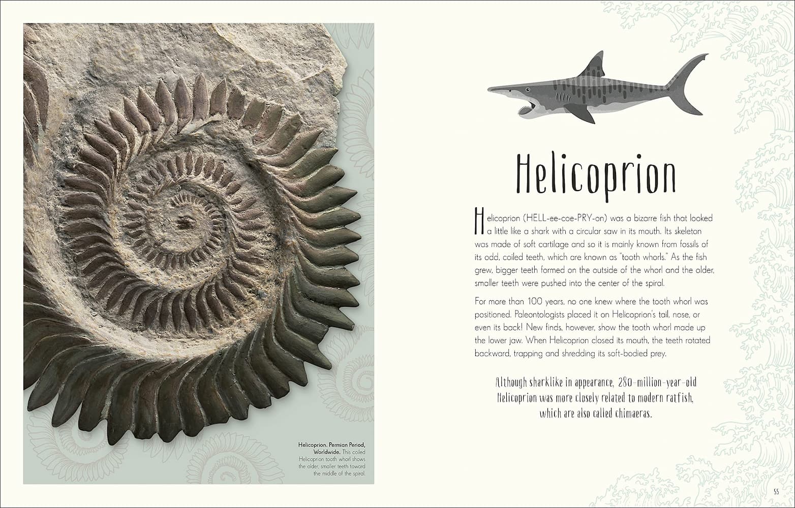 Dinosaurs & Other Prehistoric Life - Image 6