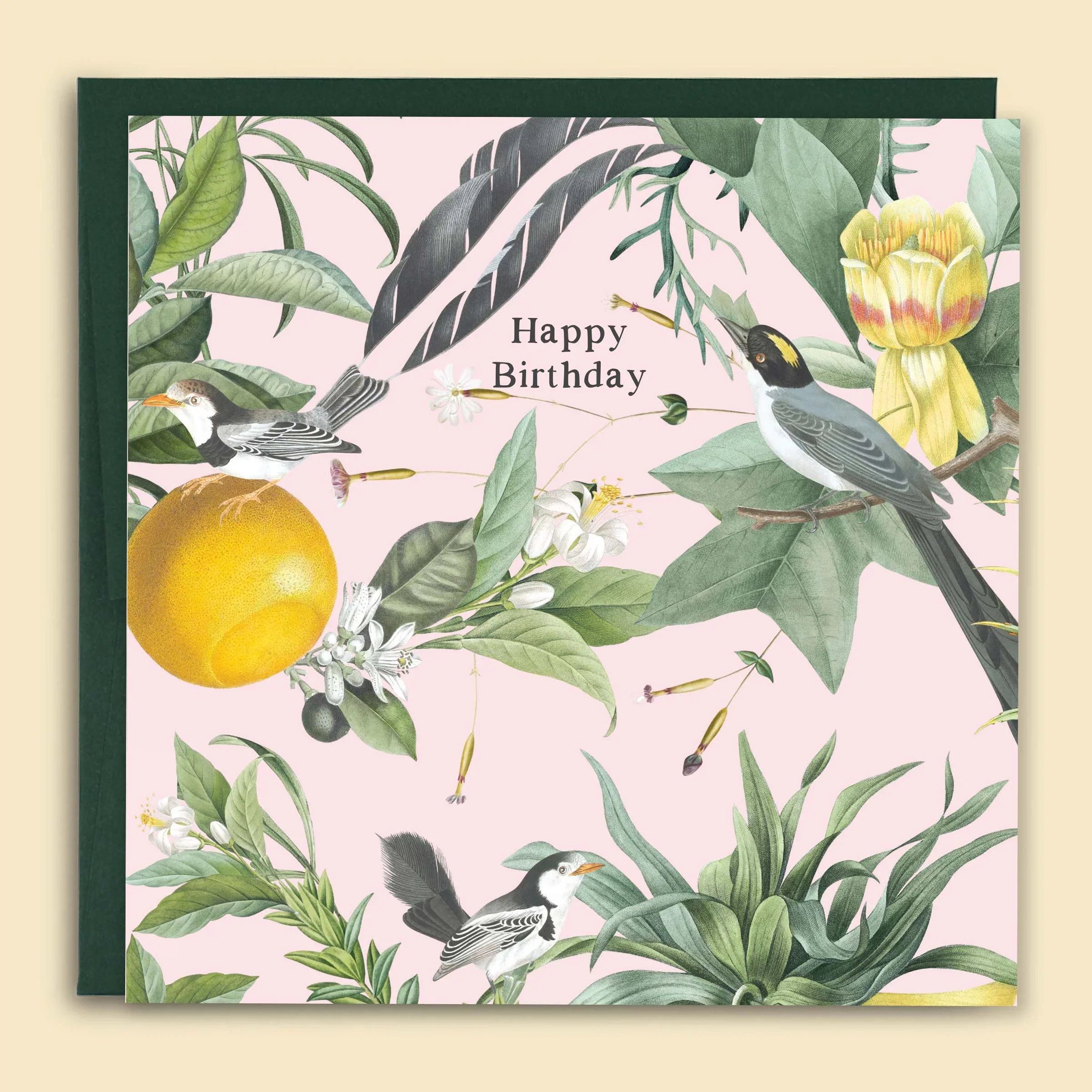 Happy Birthday Birds and Lemons Card