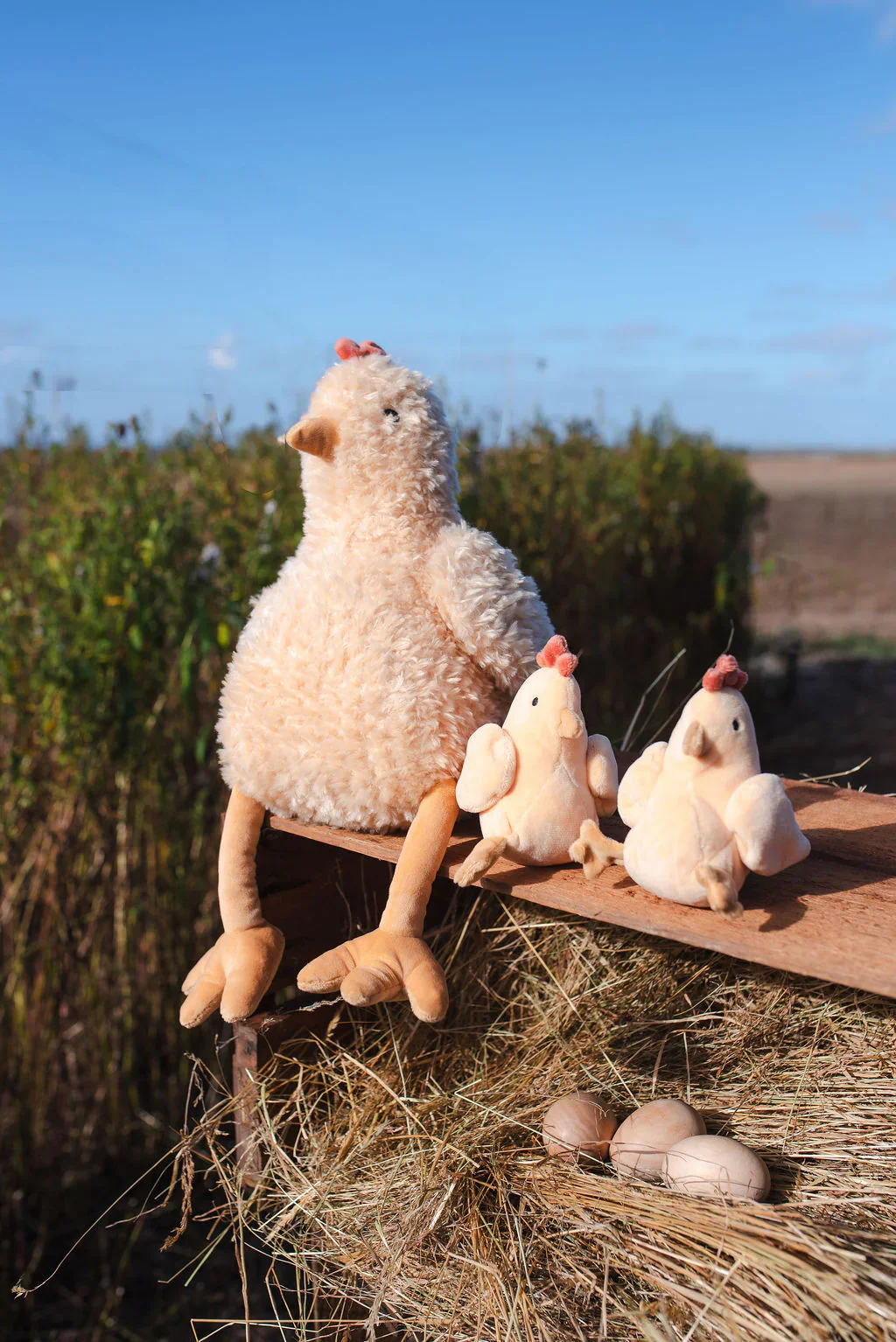 Harriet the Hen | Honey - Image 2