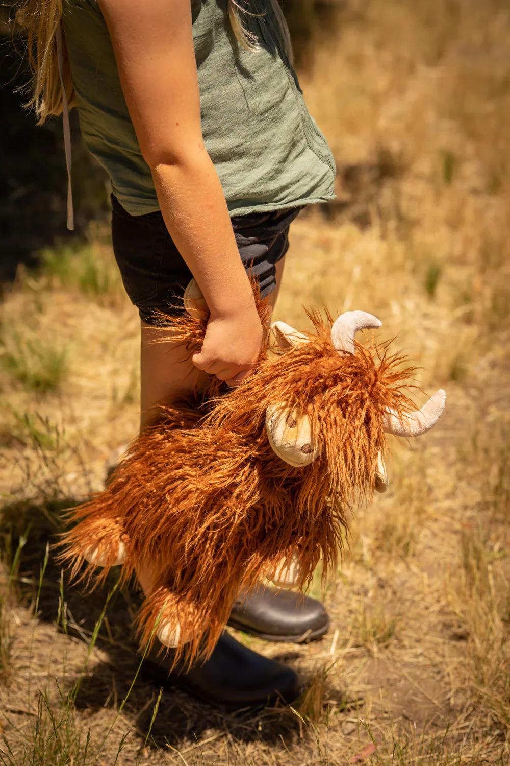 Henry the highland cow - Image 3
