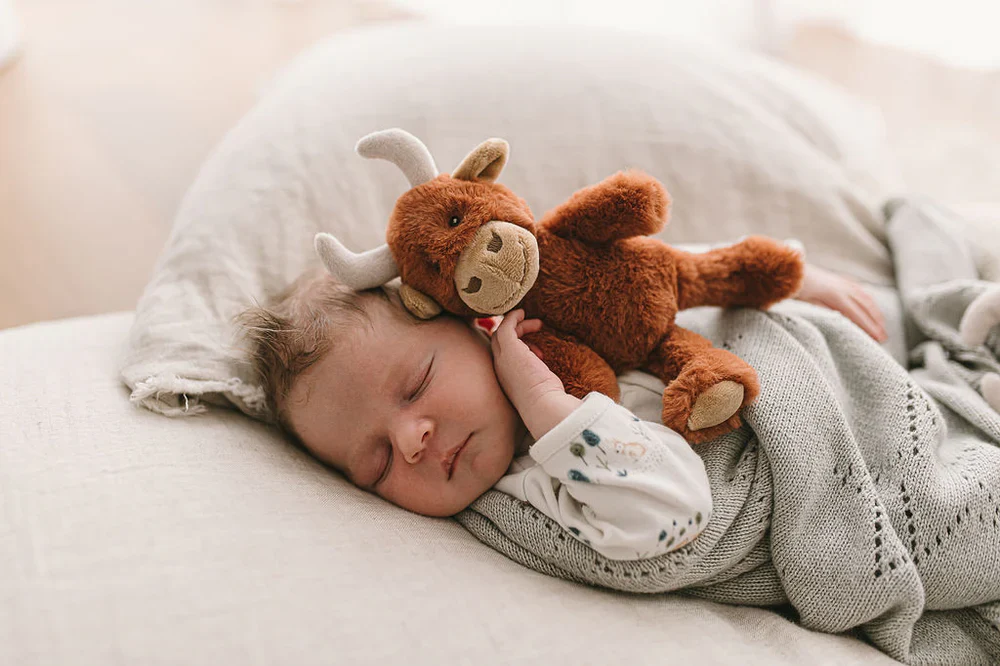 Henry The Highland Cow Rattle