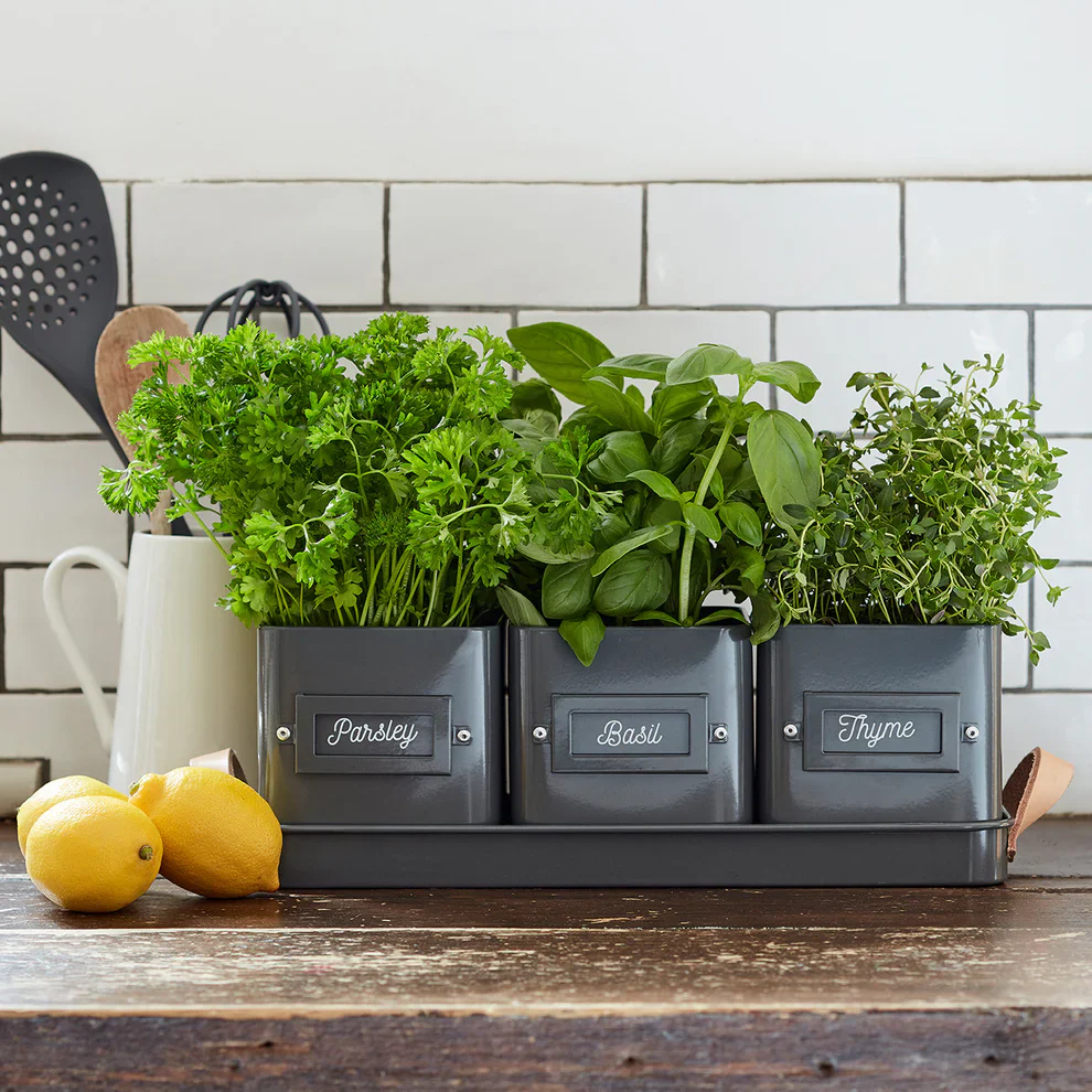Herb Pots | Charcoal - Image 4