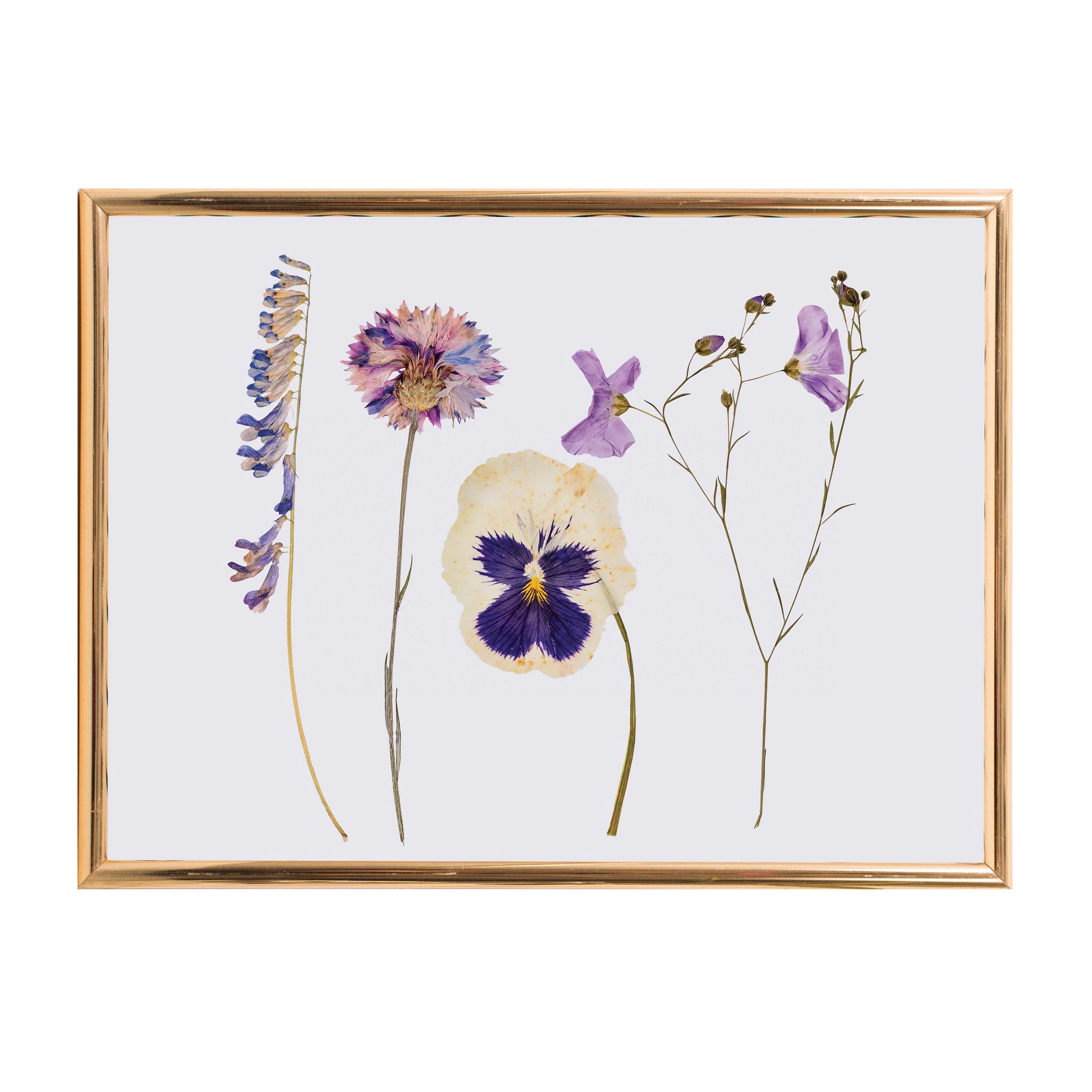 isGift Classic Flower Press Wood - Image 3