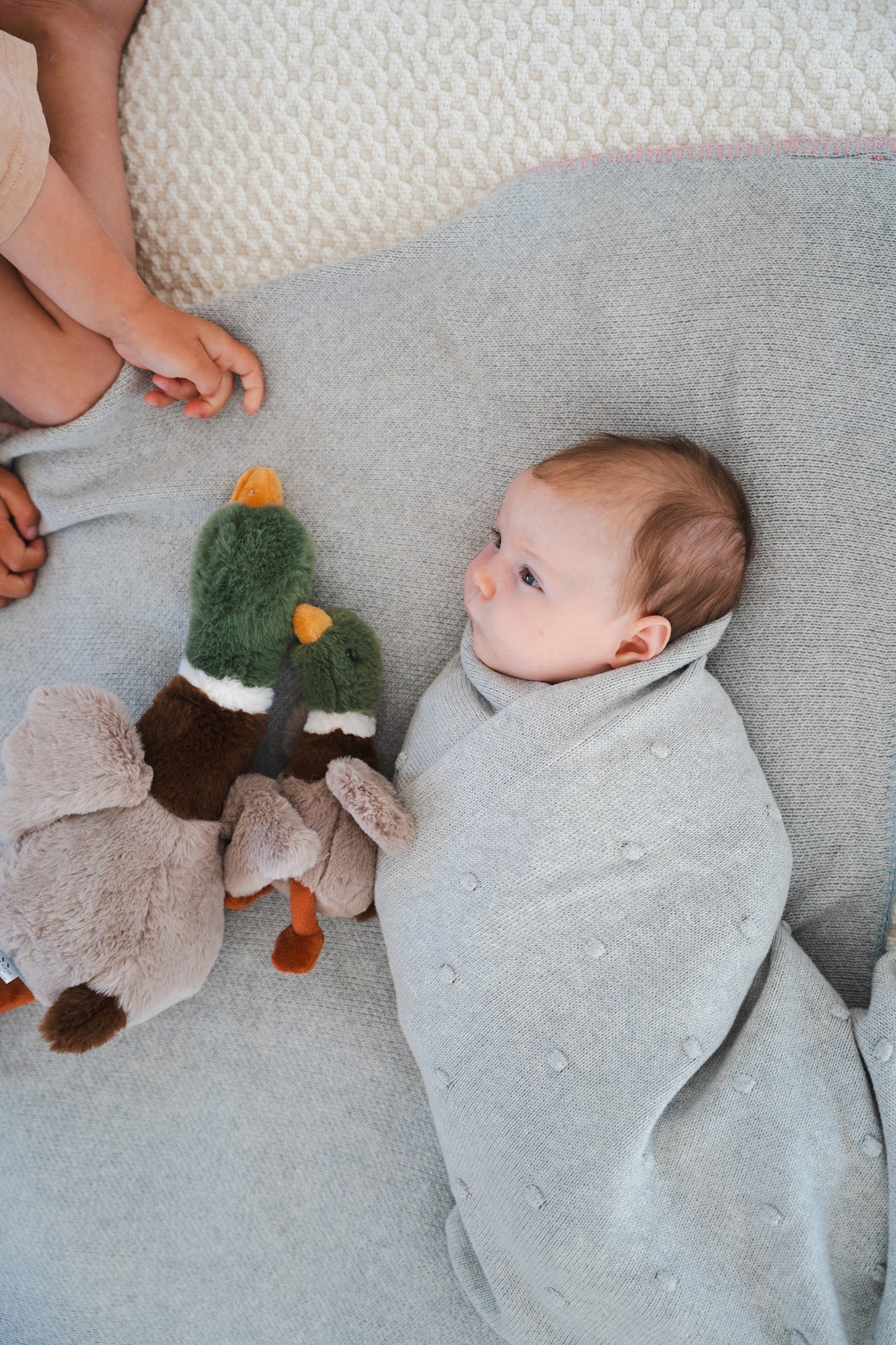 Mini Hugo the Mallard Duck Rattle - Image 2
