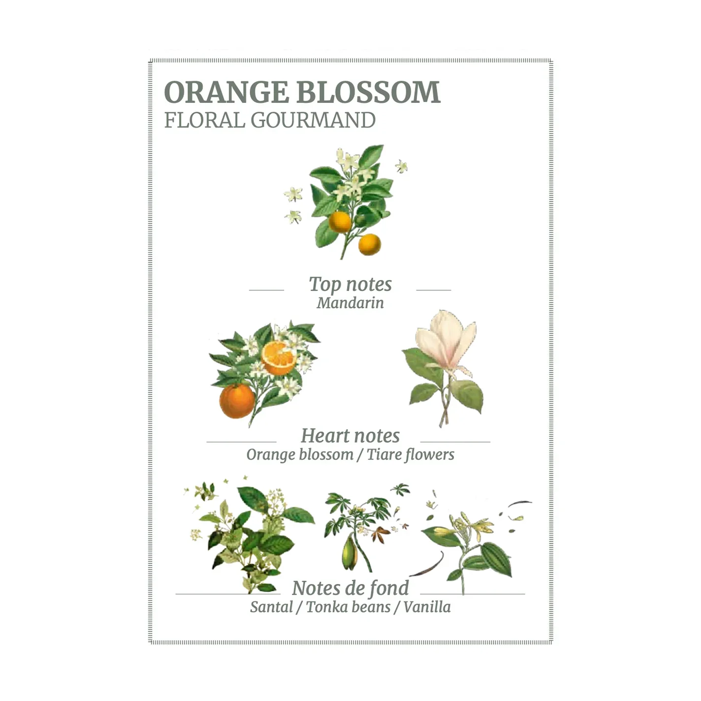Orange Blossom Hand Cream | 75ml - Image 3