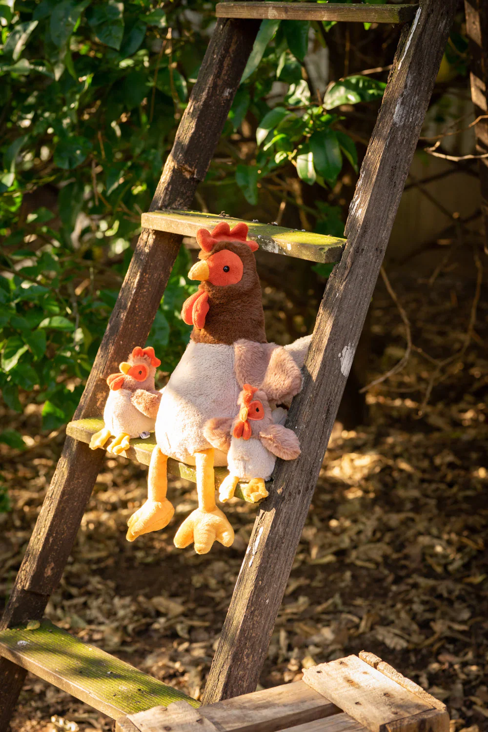 Randy the Rooster - Image 6