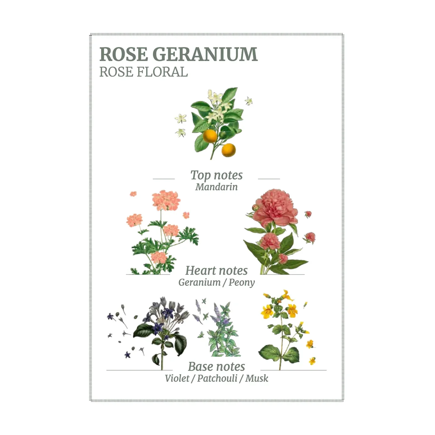 Rose Geranium Marseille Liquid Soap - Image 3