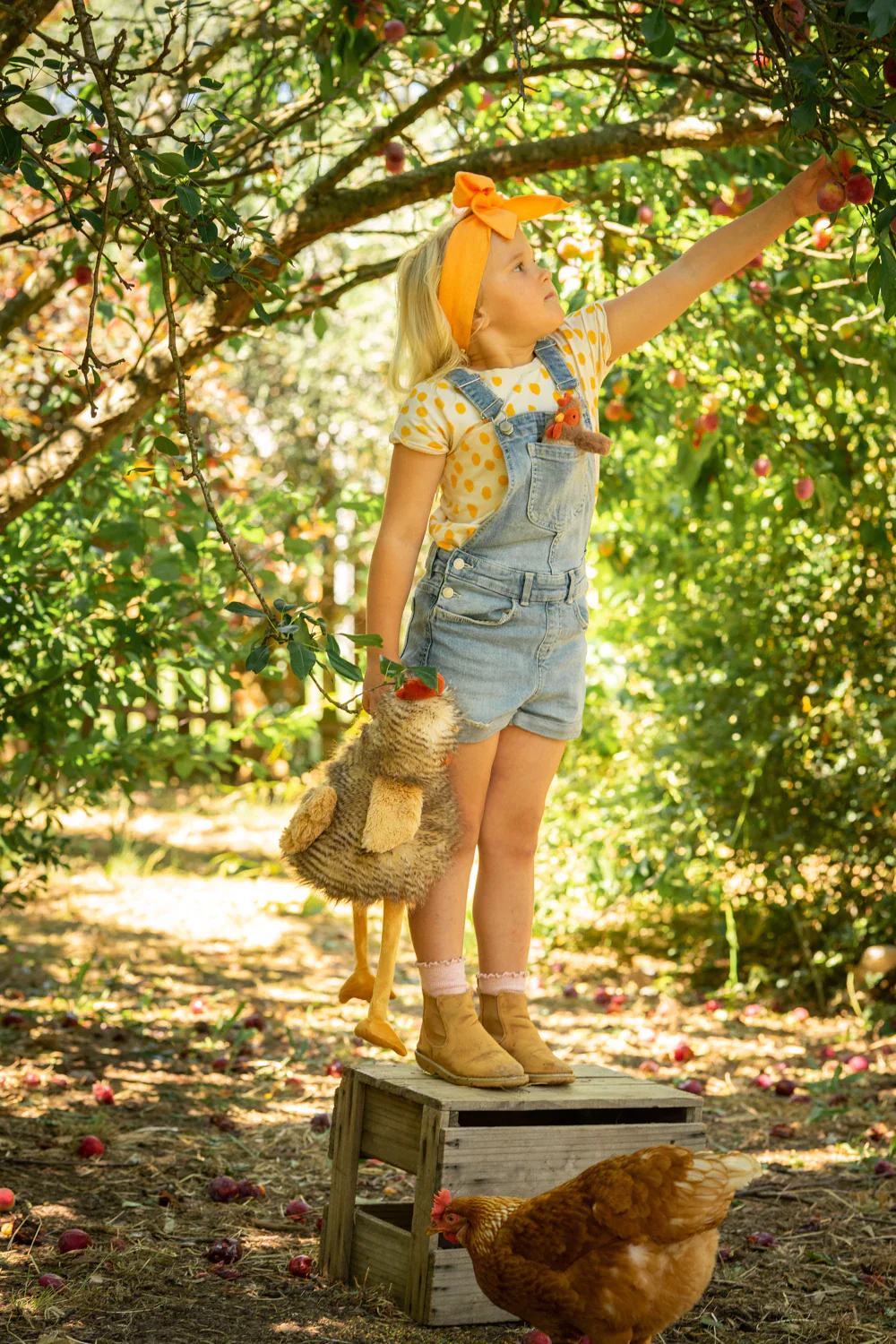 Rupert the Rooster - Image 3