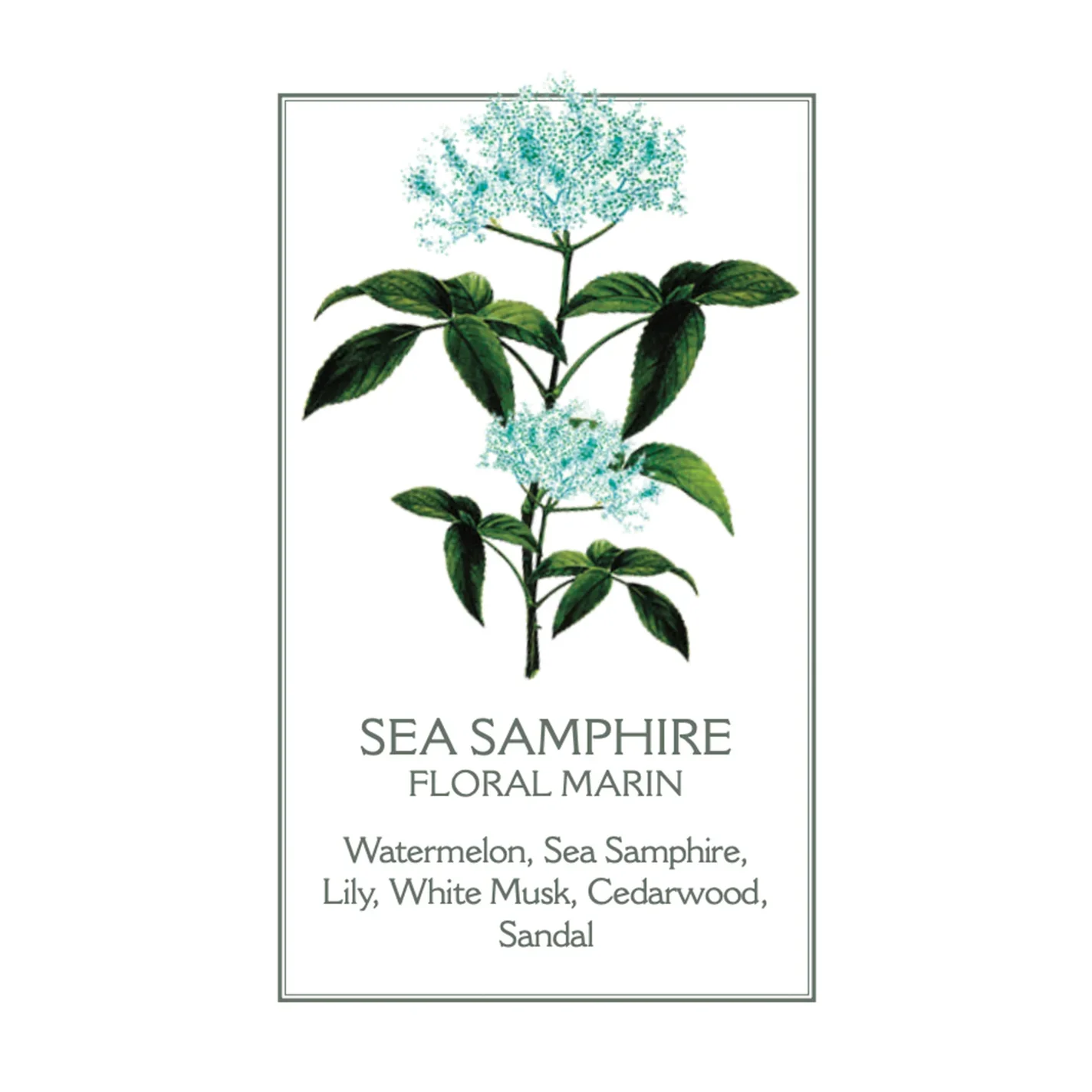 Sea Samphire Scented Candle - Image 3