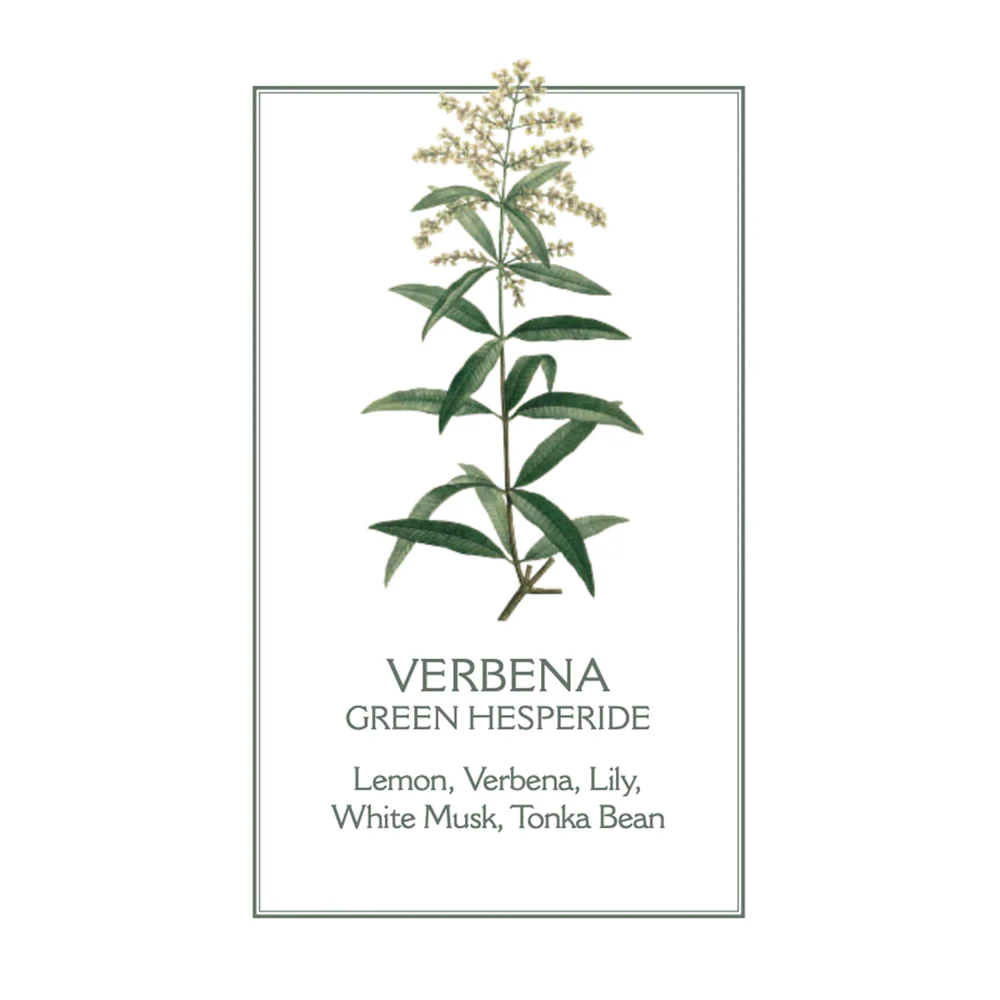 Verbena Marseille Liquid Soap - Image 3