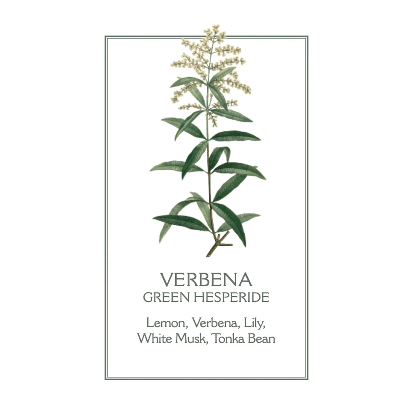 Verbena Scented Candle - Image 3