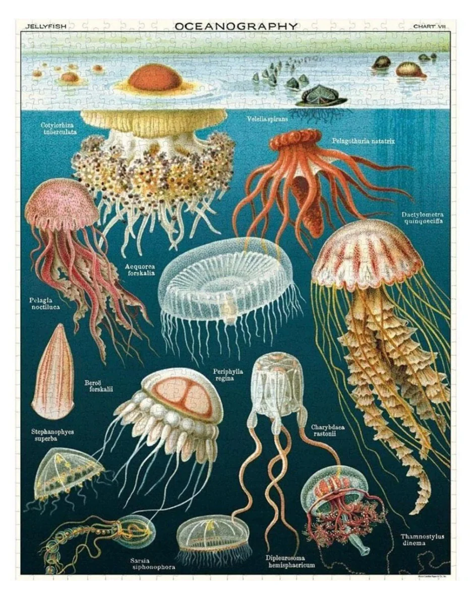 Vintage Puzzles - Image 21